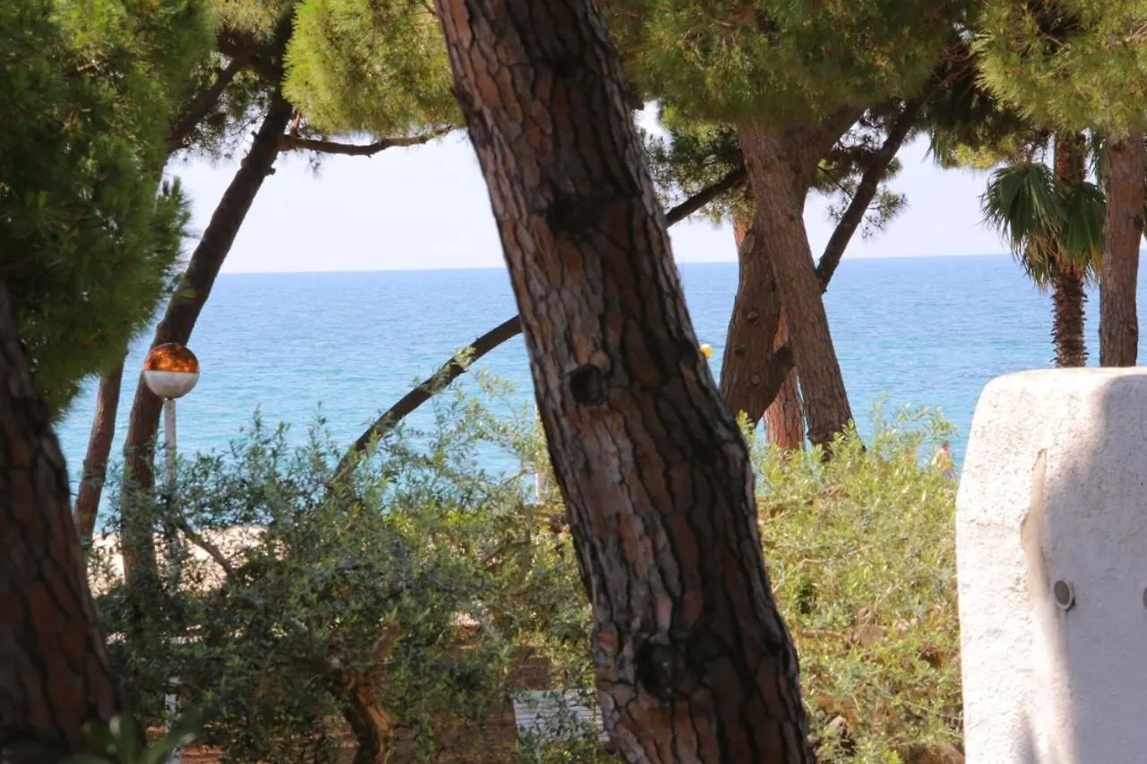 Semesterbostad Villa Sa Calma Cambrils